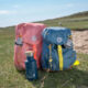 Big Backpack Adventure rose  (7157.022)