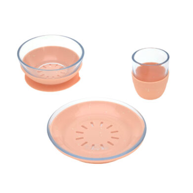 Dish Set Glass/Silicone apricot  (7205G.01)